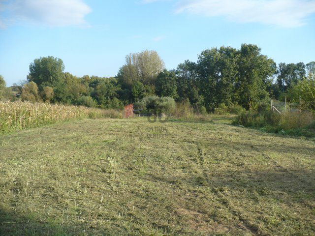 Eladó telek, Álmosdon 13.9 M Ft / költözzbe.hu