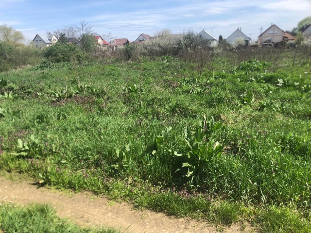 Eladó telek, Vásárosnaményben 28 M Ft / költözzbe.hu