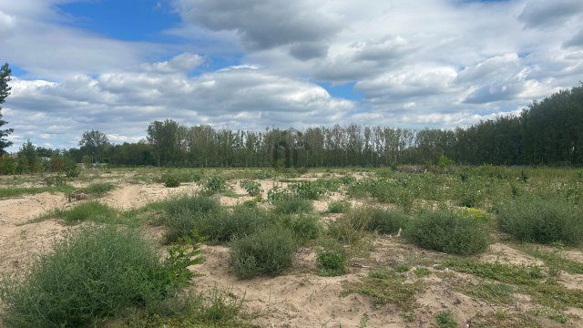 Eladó telek, Alsónémediben 398 M Ft / költözzbe.hu