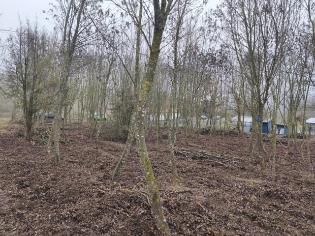 Eladó telek, Balatonfüreden 39.9 M Ft / költözzbe.hu