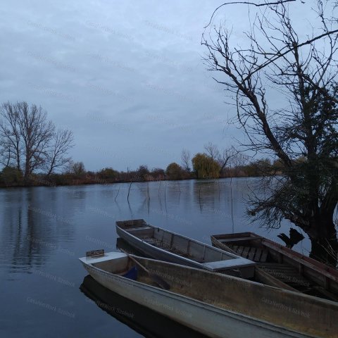 Eladó mezogazdasagi ingatlan, Öcsödön 3.5 M Ft