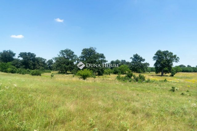 Eladó mezogazdasagi ingatlan, Somogyváron 360 M Ft