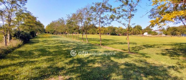 Eladó mezogazdasagi ingatlan, Töltéstaván 38 M Ft