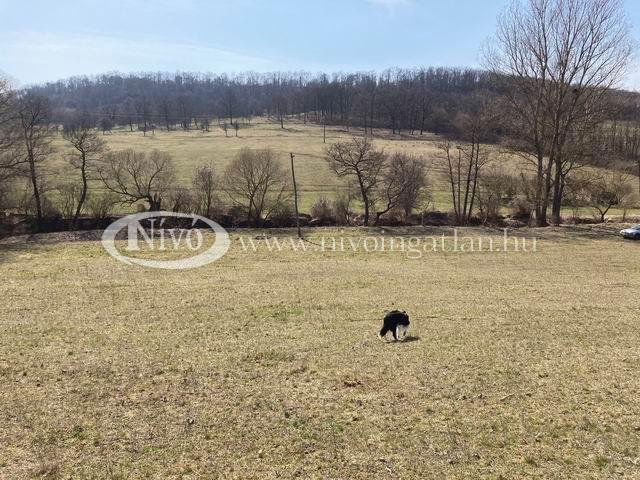 Eladó telek, Kapolcson 79 M Ft / költözzbe.hu