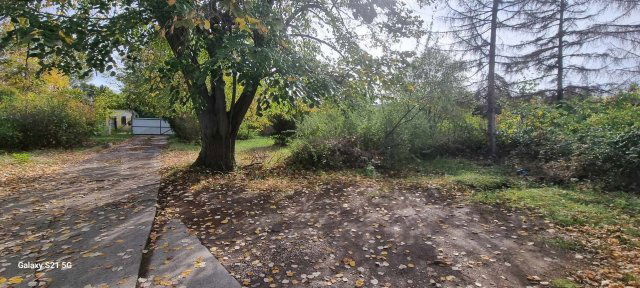 Kiadó üzlethelyiség, Szegeden 250000 E Ft / hó