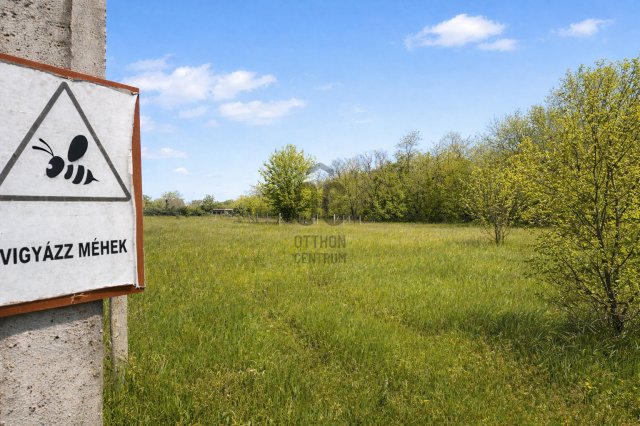 Eladó mezogazdasagi ingatlan, Budapesten, XVII. kerületben 6 M Ft