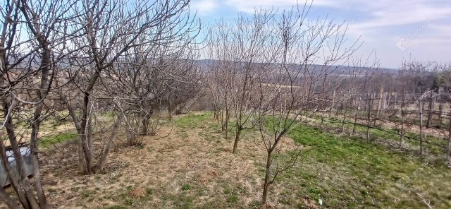 Eladó telek, Bocföldén 7.5 M Ft / költözzbe.hu