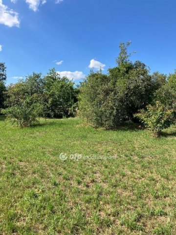 Eladó telek, Csömörön 62 M Ft / költözzbe.hu