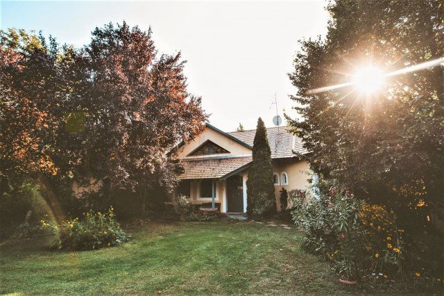 Eladó mezogazdasagi ingatlan, Mórahalmon 125 M Ft