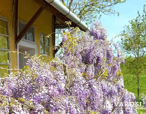 Eladó családi ház, Körösladányban 8.5 M Ft, 2 szobás