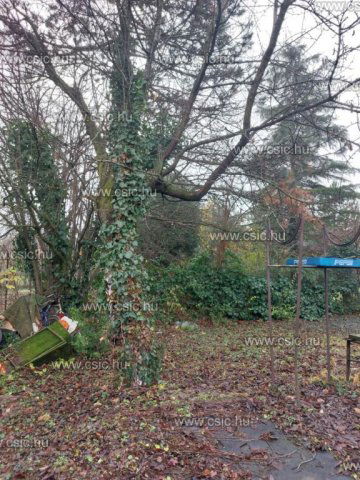 Eladó családi ház, Törökbálinton 39 M Ft, 1 szobás