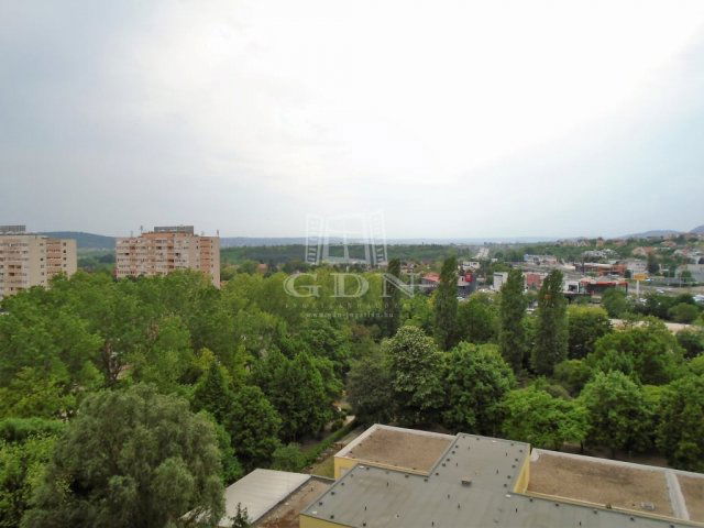 Kiadó panellakás, albérlet, Budapesten, XI. kerületben, 2 szobás