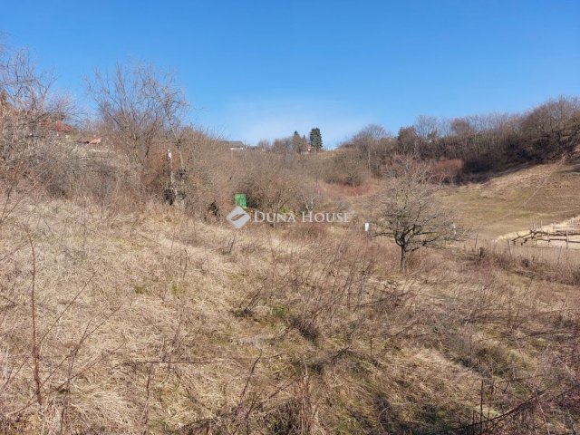 Eladó telek, Vácon 35 M Ft / költözzbe.hu