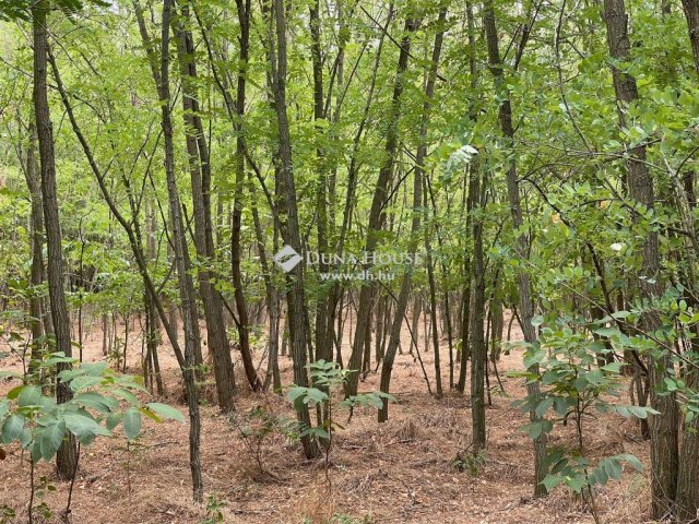 Eladó mezogazdasagi ingatlan, Jászszentlászlón 42 M Ft, 5 szobás