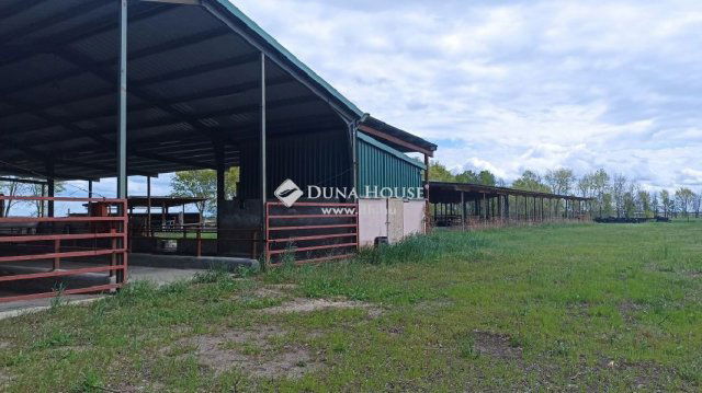 Eladó mezogazdasagi ingatlan, Kocséren 135 M Ft, 5 szobás