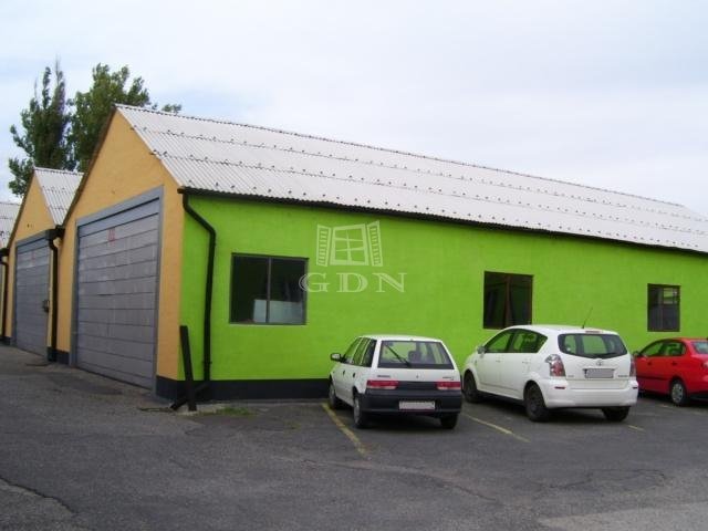 Kiadó ipari ingatlan, Solymáron 313 E Ft / hó