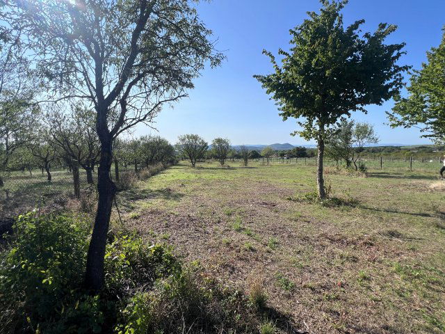 Eladó mezogazdasagi ingatlan, Balatonfüreden 45 M Ft