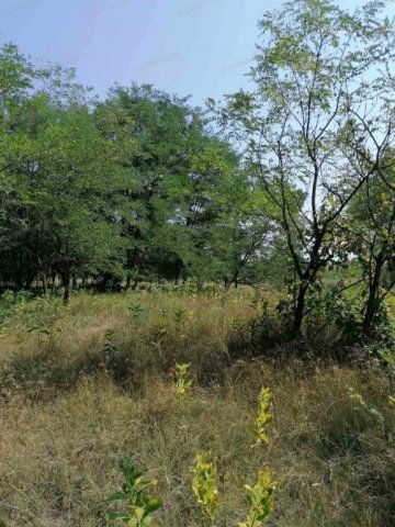 Eladó telek, Kecskeméten 3.5 M Ft / költözzbe.hu