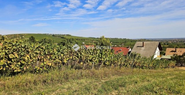 Eladó családi ház, Nagyharsányon 115 M Ft, 5 szobás