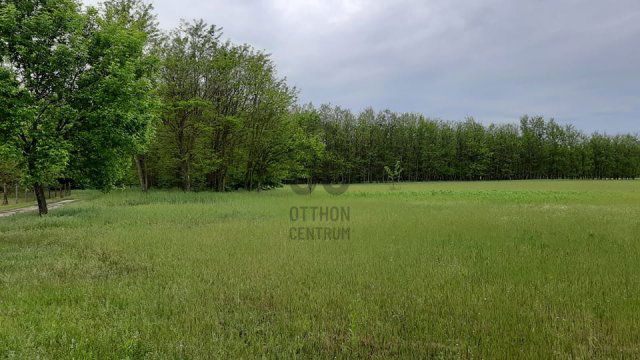 Eladó mezogazdasagi ingatlan, Nagykőrösön 10 M Ft