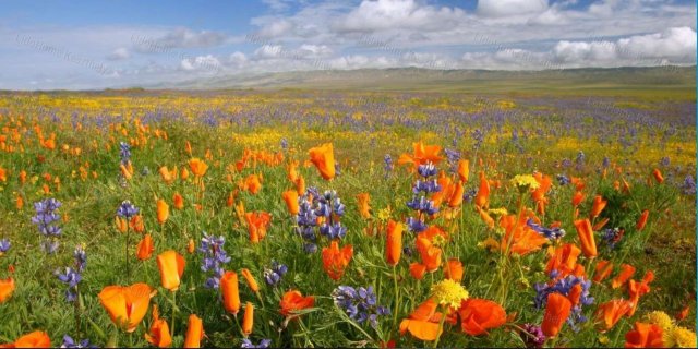 Eladó telek, Hévízen 99 M Ft / költözzbe.hu