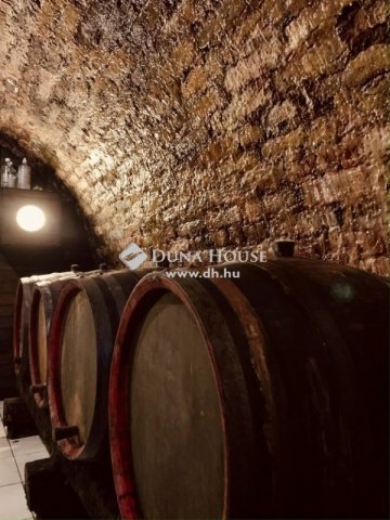 Eladó üzlethelyiség, Sükösdön 215 M Ft / költözzbe.hu