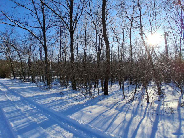 Eladó mezogazdasagi ingatlan, Tényőn 17.5 M Ft