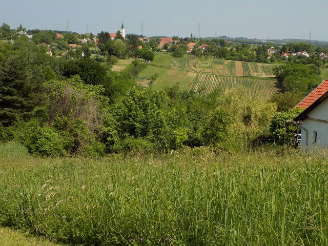 Eladó telek, Alsópáhokon 15.999 M Ft / költözzbe.hu