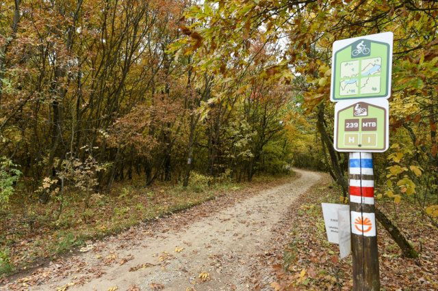 Eladó telek, Pécselyen 24.99 M Ft / költözzbe.hu