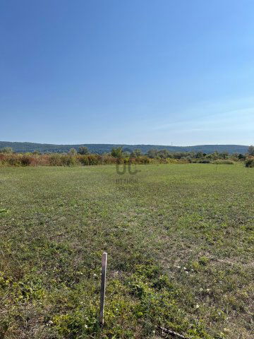 Eladó mezogazdasagi ingatlan, Budakeszin 1.49 M Ft