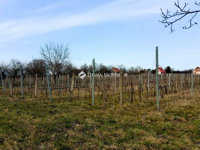 Eladó telek, Pázmándon 27.3 M Ft / költözzbe.hu