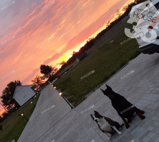 Eladó családi ház, Délegyházán 250 M Ft, 3 szobás