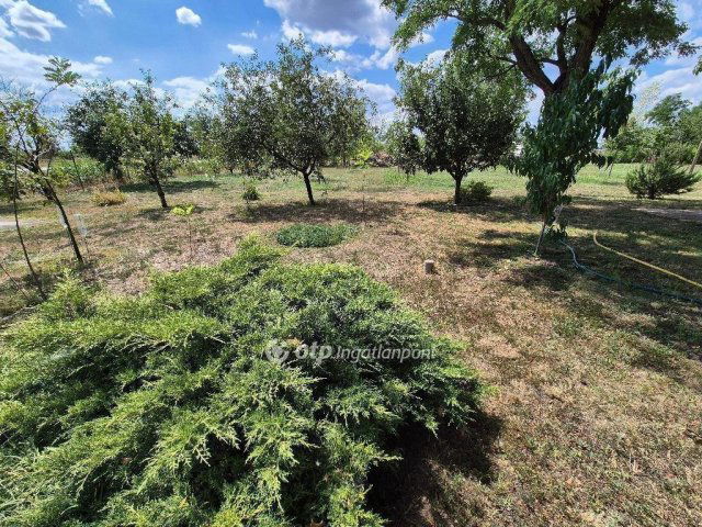 Eladó mezogazdasagi ingatlan, Szentesen 26.8 M Ft, 3+1 szobás