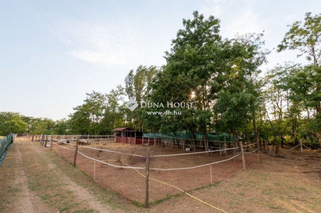 Eladó telek, Dabason 22.5 M Ft / költözzbe.hu