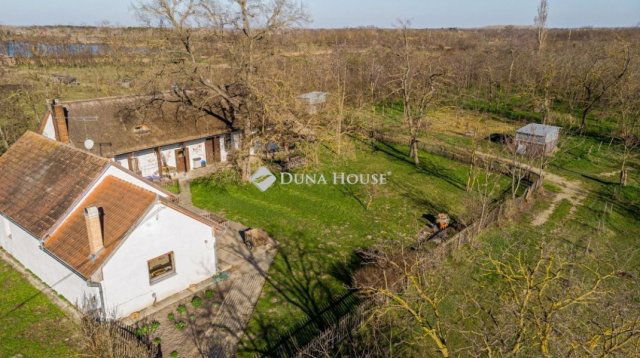 Eladó mezogazdasagi ingatlan, Délegyházán 139 M Ft