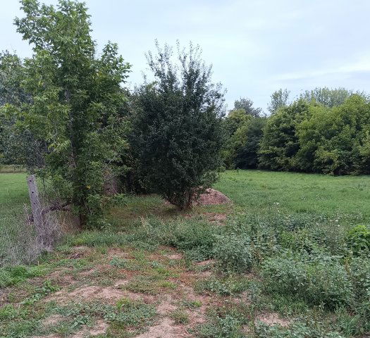 Eladó telek, Tiszadadán, Vízmű utcában 0.95 M Ft
