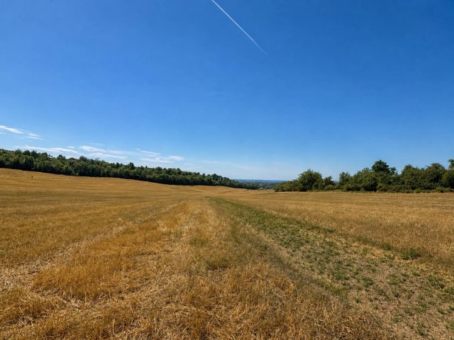 Eladó telek, Dunaszentmiklóson 30 M Ft / költözzbe.hu