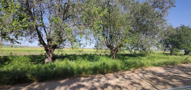 Eladó telek, Sajóvámoson 1.5 M Ft / költözzbe.hu