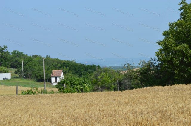 Eladó mezogazdasagi ingatlan, Balatonendréden 10 M Ft