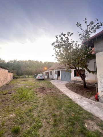 Eladó családi ház, Pápateszéren 22 M Ft, 3 szobás