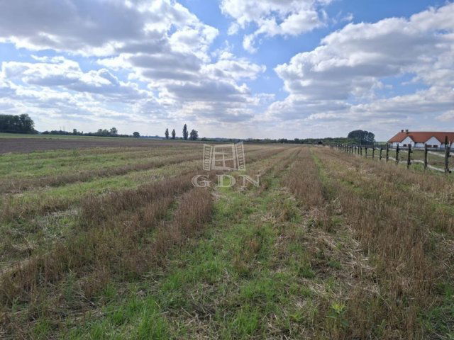 Eladó mezogazdasagi ingatlan, Kerekegyházán 2.4 M Ft