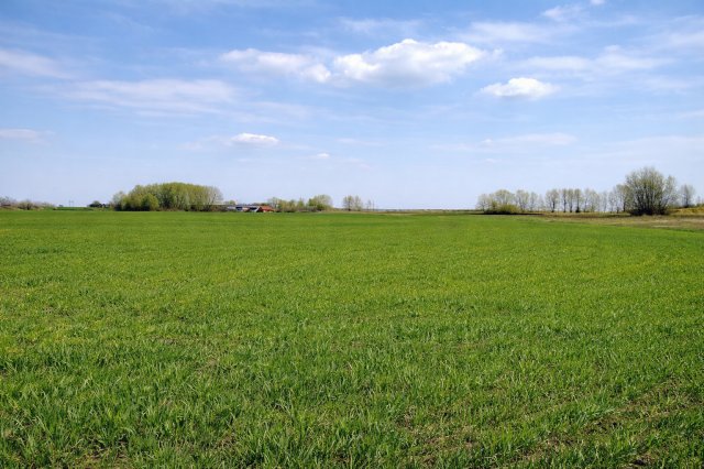 Eladó telek, Daruszentmiklóson 550 M Ft / költözzbe.hu