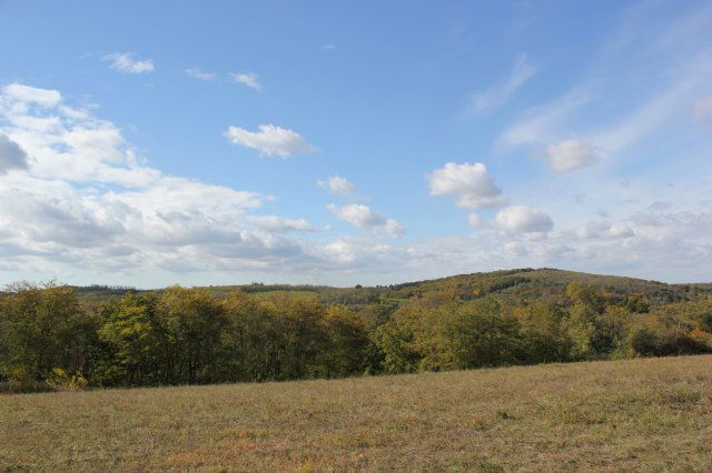 Eladó telek, Győrújbaráton, Paperdő utcában 15 M Ft