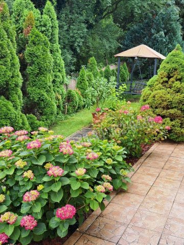 Eladó családi ház, Verőcén 185 M Ft, 5 szobás