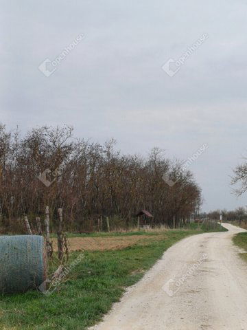 Eladó telek, Fertőszentmiklóson 1.5 M Ft / költözzbe.hu
