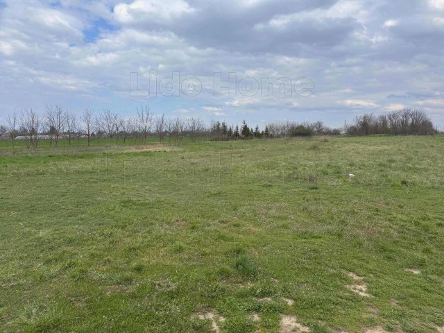 Eladó telek, Balatonbogláron 43.5 M Ft / költözzbe.hu