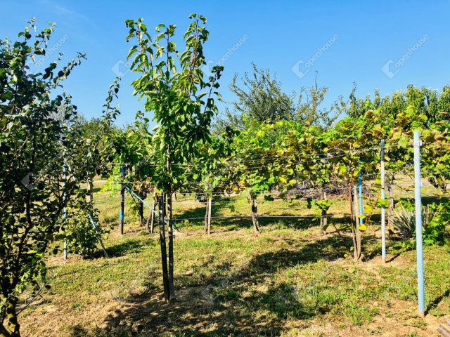 Eladó telek, Alsópáhokon 10.5 M Ft / költözzbe.hu