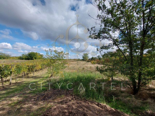 Eladó telek, Bölcskén 2.9 M Ft / költözzbe.hu