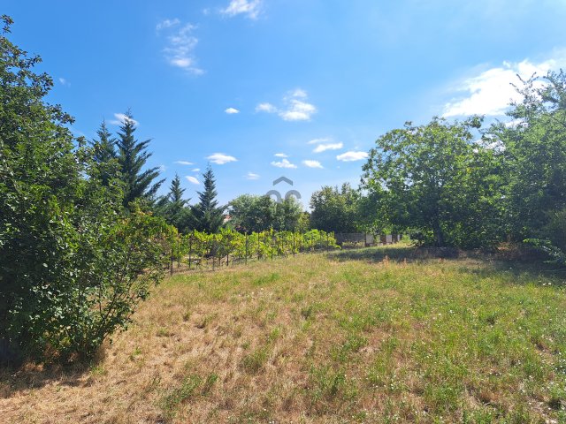 Eladó telek, Mosonmagyaróváron 205 M Ft / költözzbe.hu