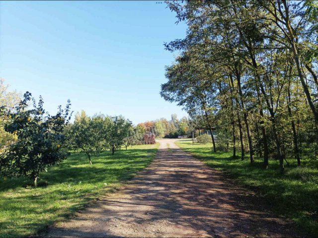 Eladó telek, Békéscsabán 32.5 M Ft / költözzbe.hu